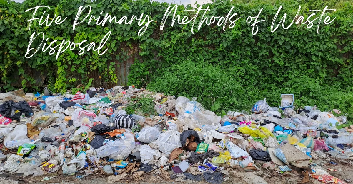 proper waste management
