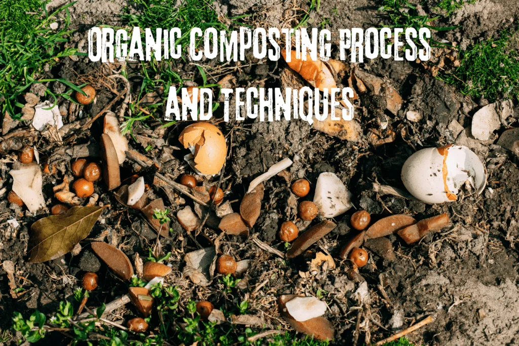 organic composting process and techniques